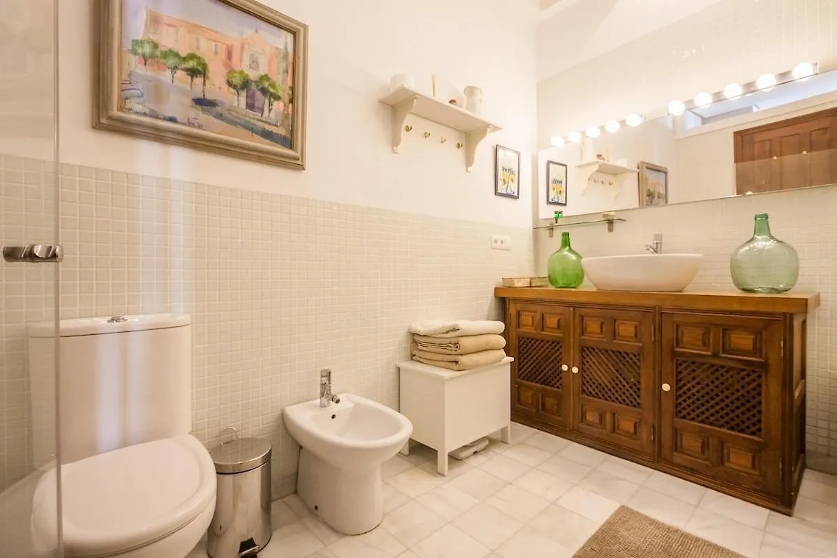 Penthouse In Restored C19Th Home Seville Apartment